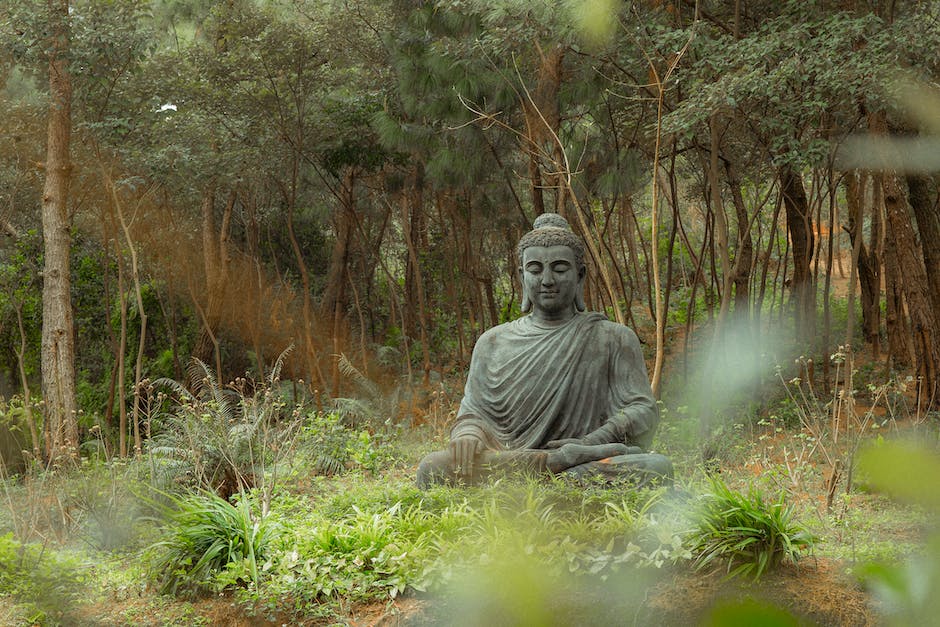 Image of a person meditating and surrounded by serene nature, representing the idea of advanced meditation techniques for cultivating positive mindset.